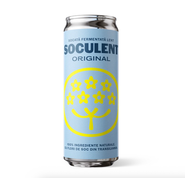 Socata Fermentata Lent 
